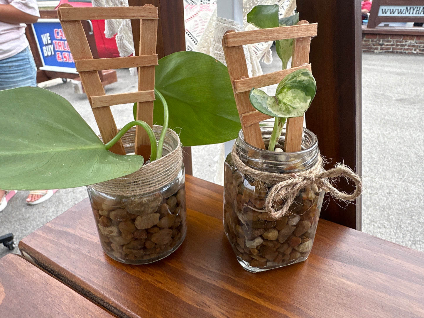 Small Plant Jar