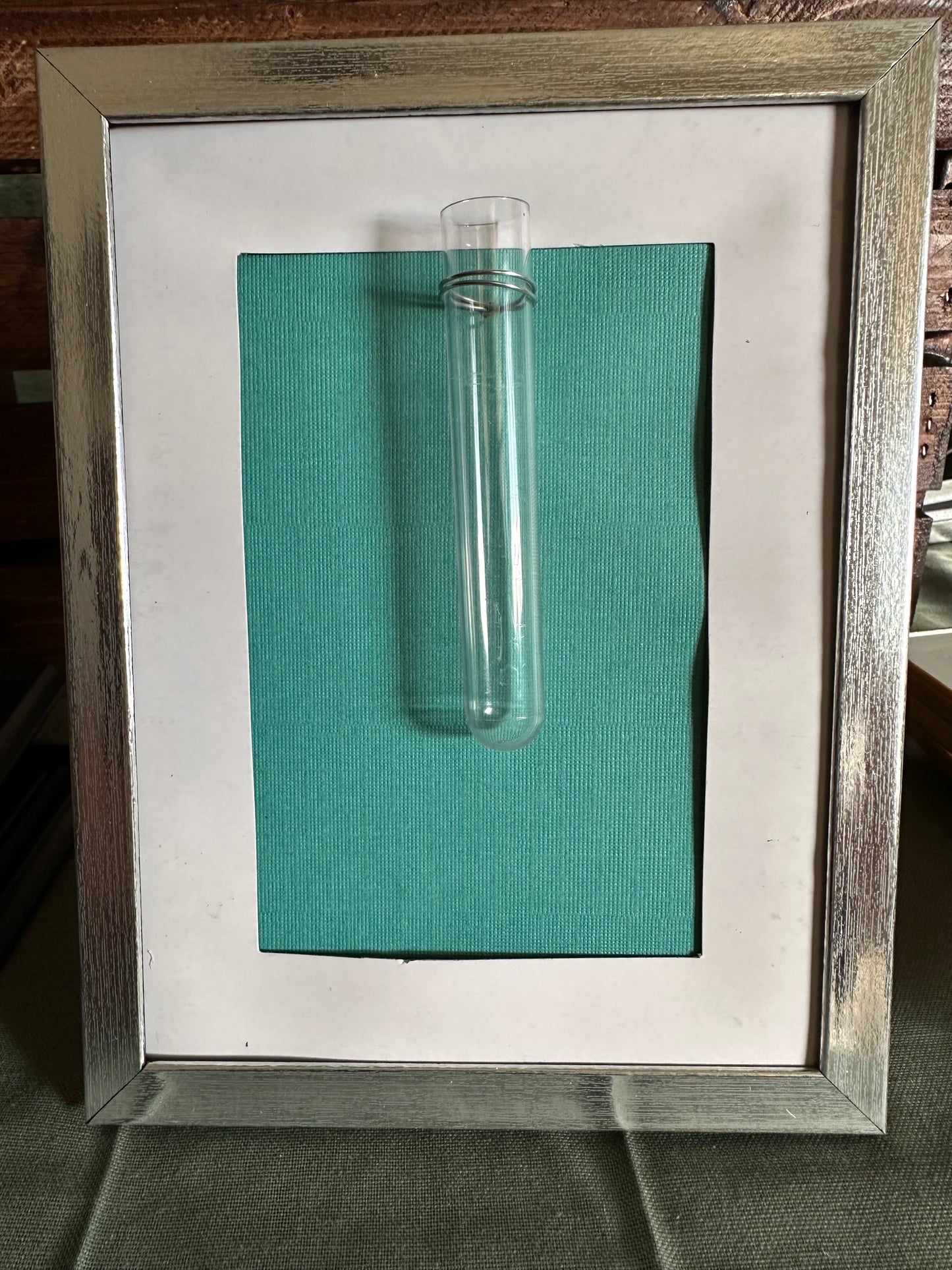 Plant Propagation Photo Frames