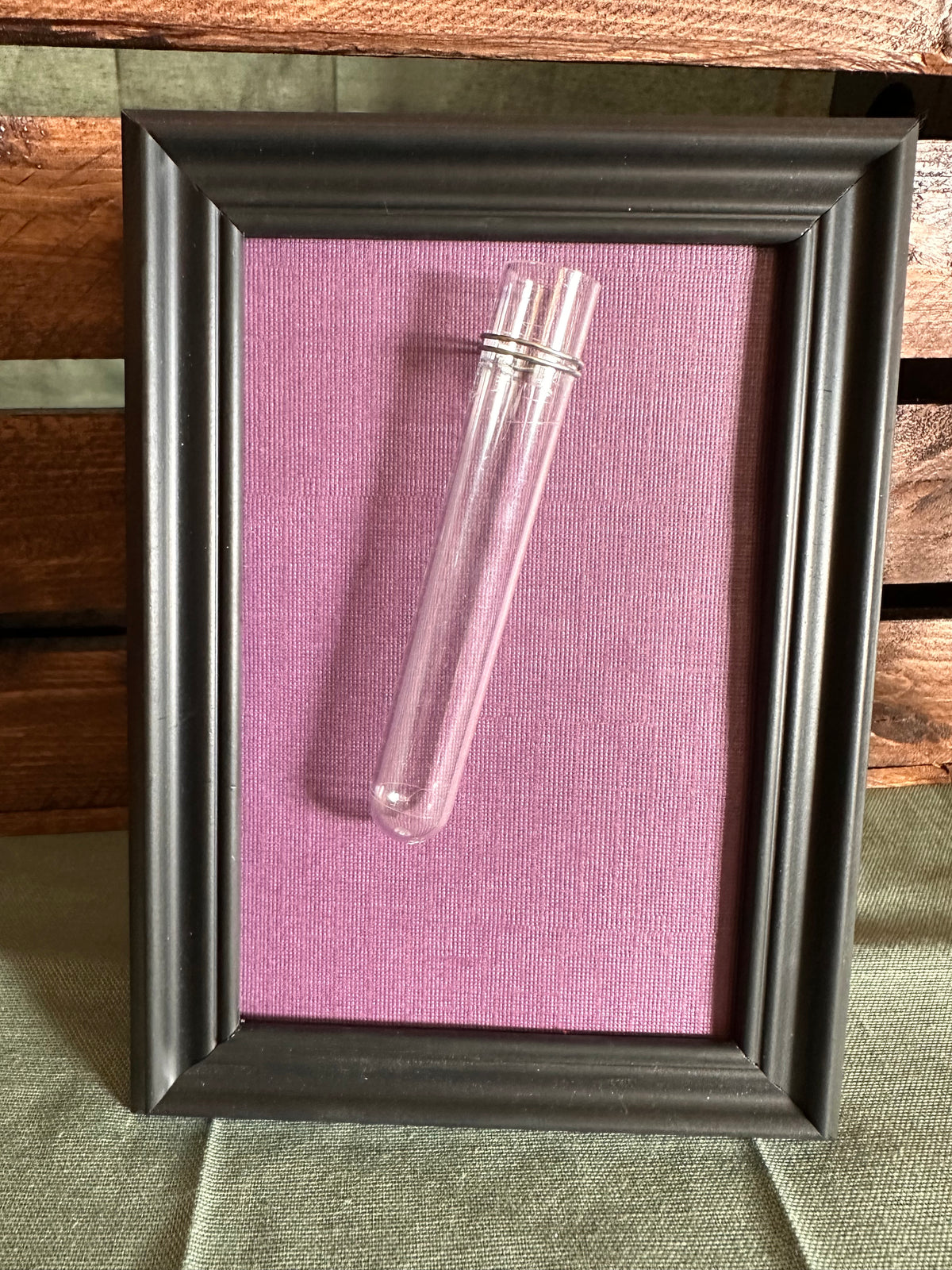 Plant Propagation Photo Frames