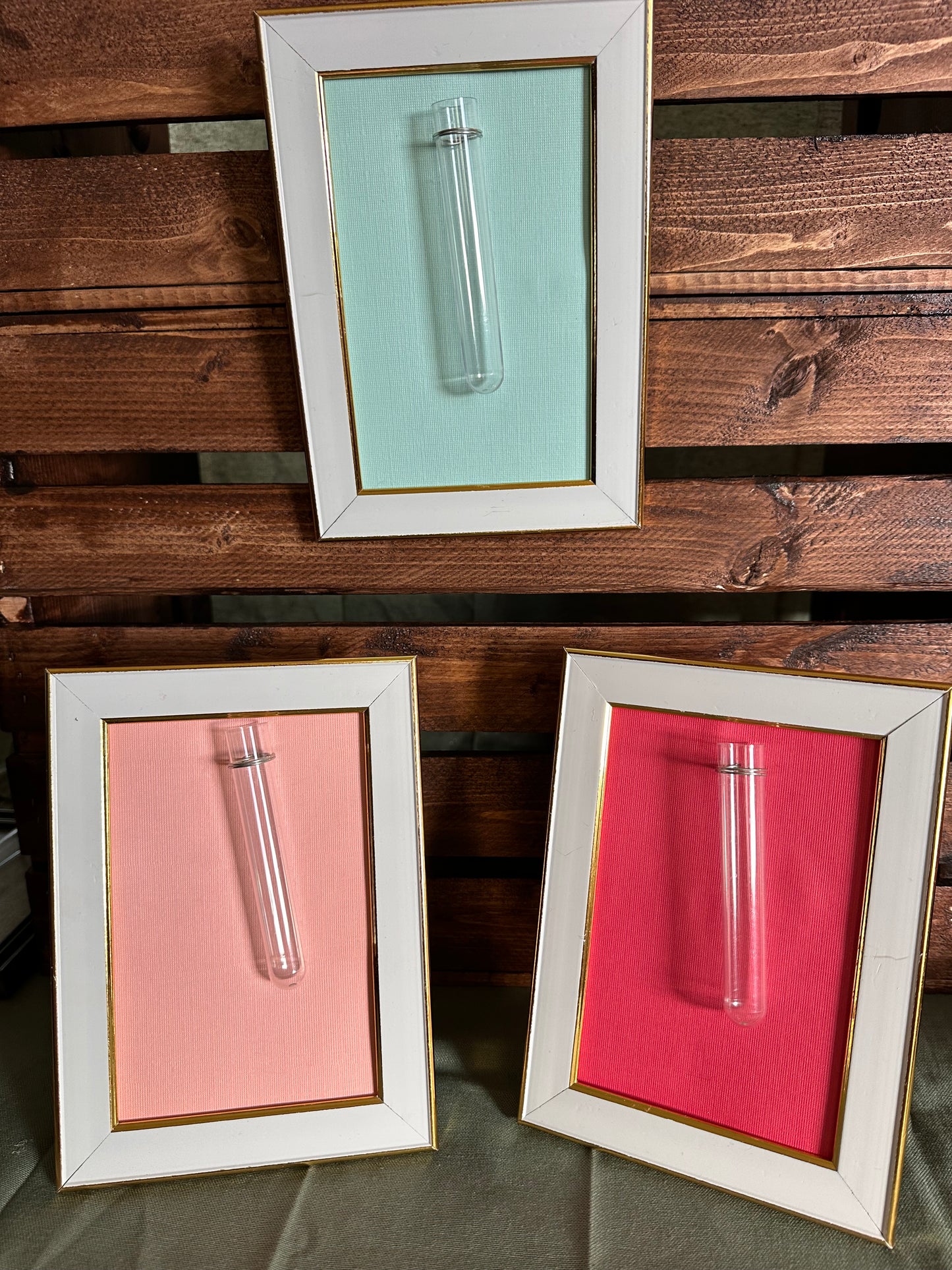 Plant Propagation Photo Frames
