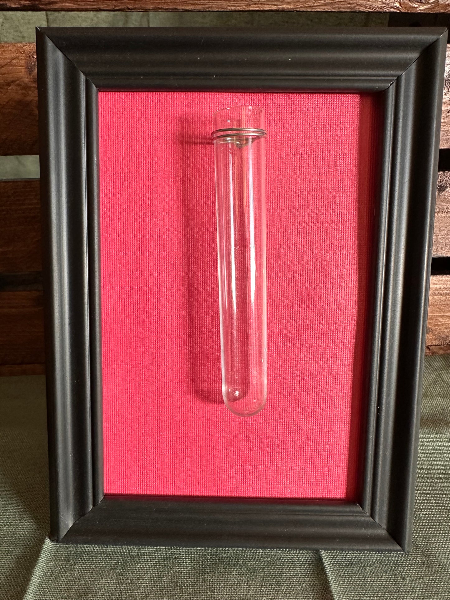 Plant Propagation Photo Frames