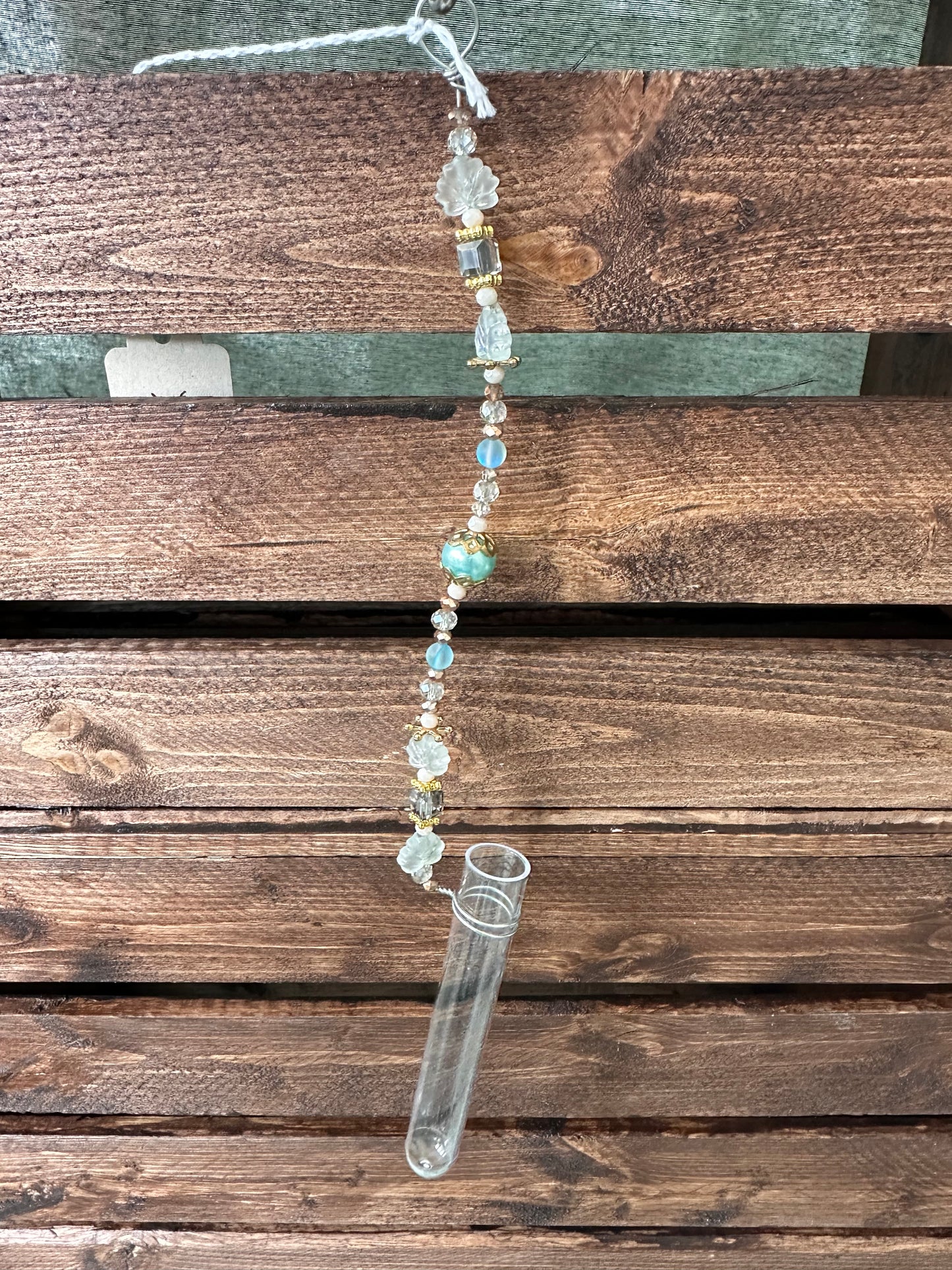 Plant Propagation Sun Catchers