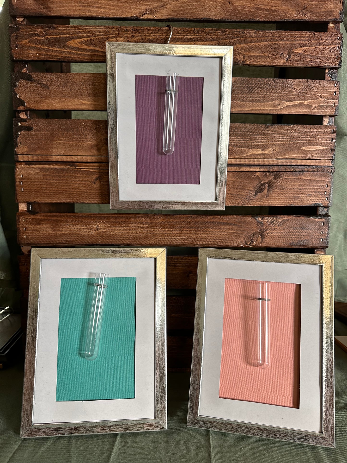 Plant Propagation Photo Frames