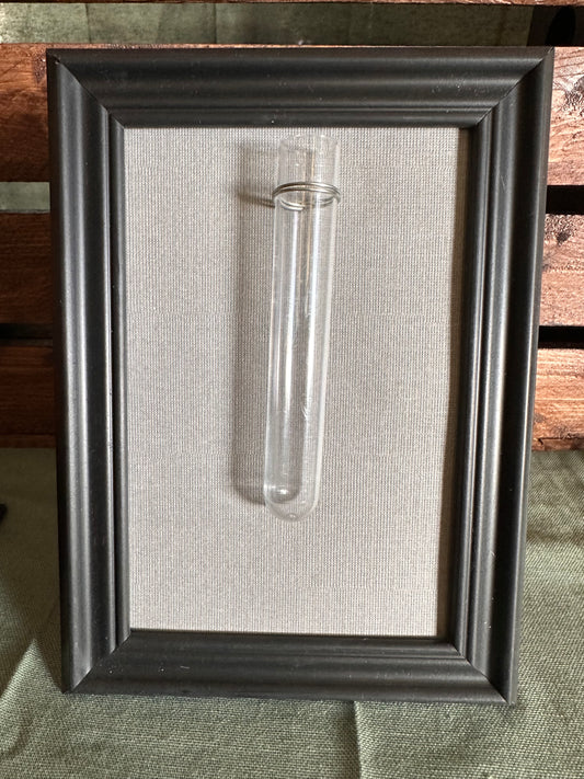 Plant Propagation Photo Frames