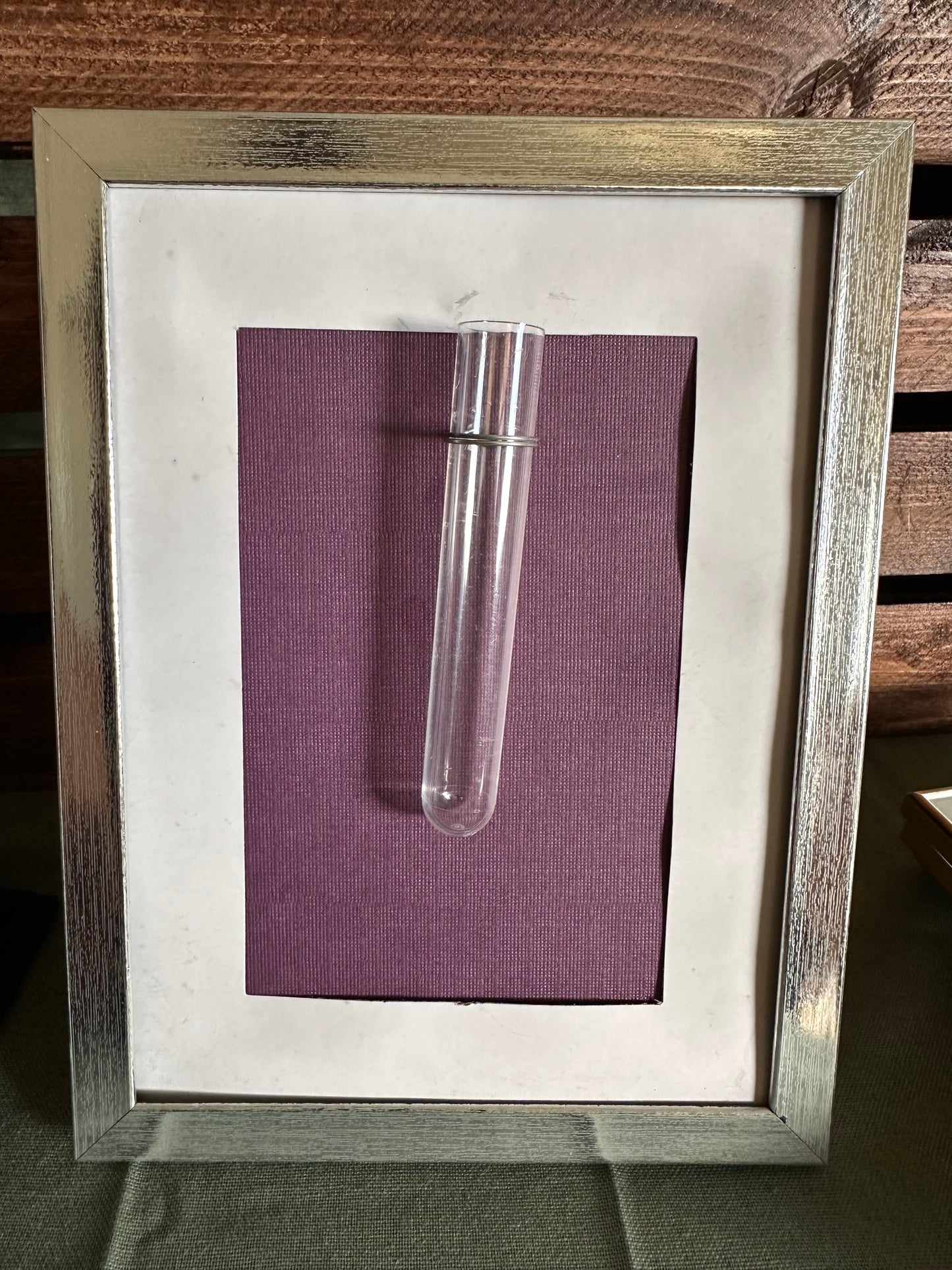 Plant Propagation Photo Frames