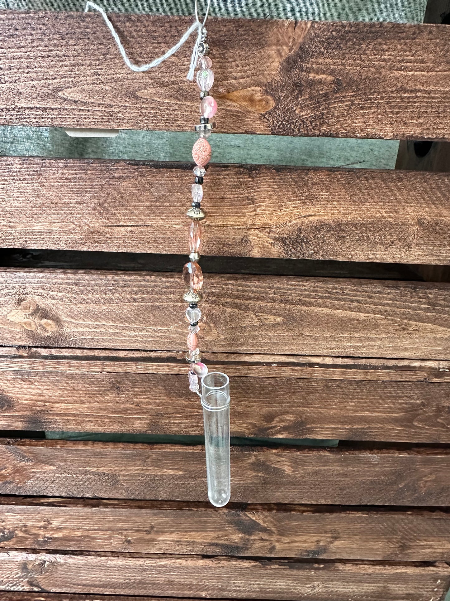 Plant Propagation Sun Catchers