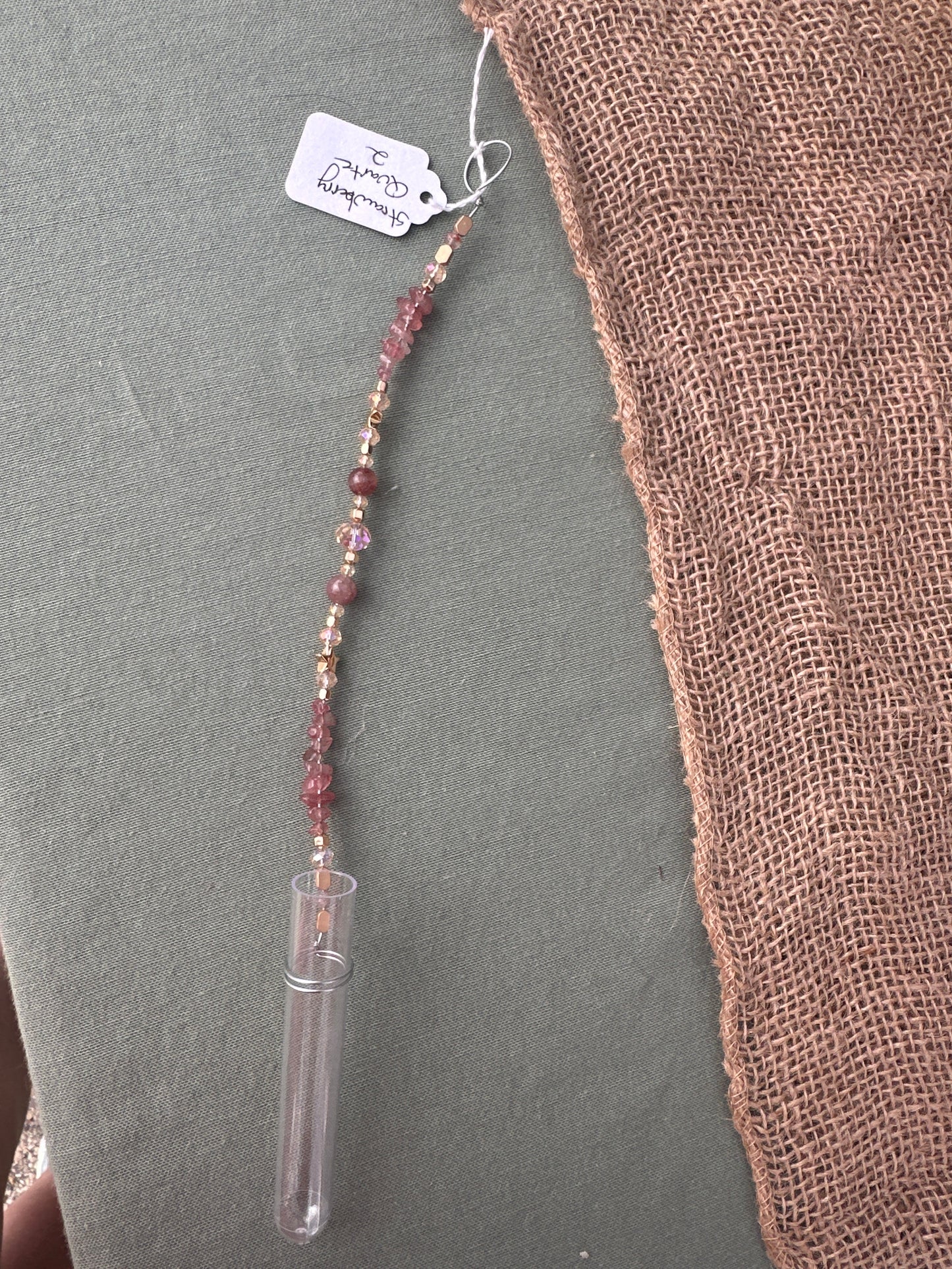 Plant Propagation Sun Catchers