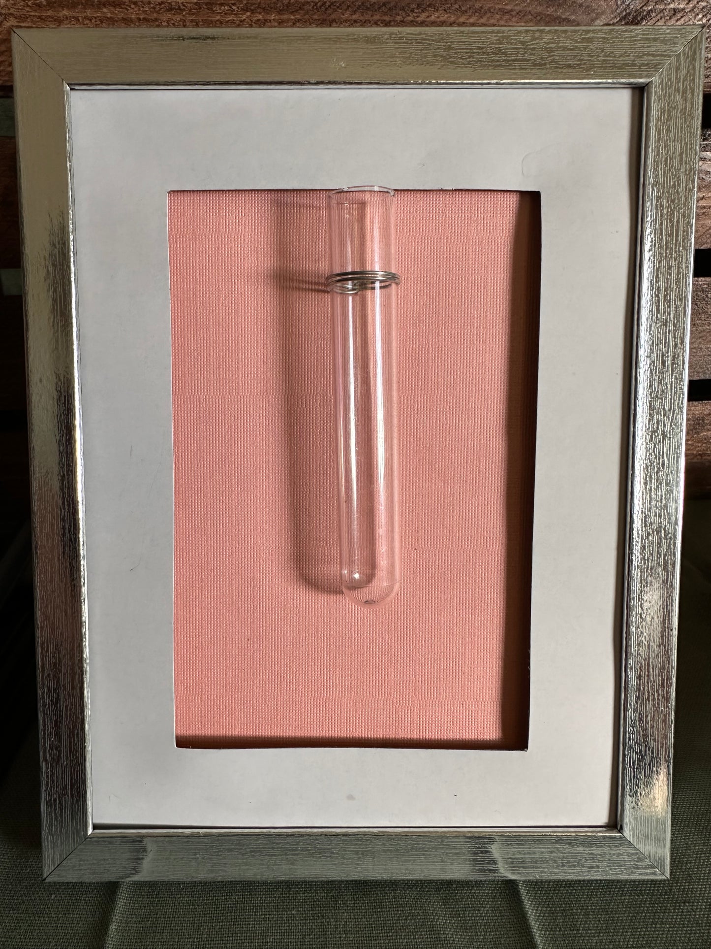 Plant Propagation Photo Frames