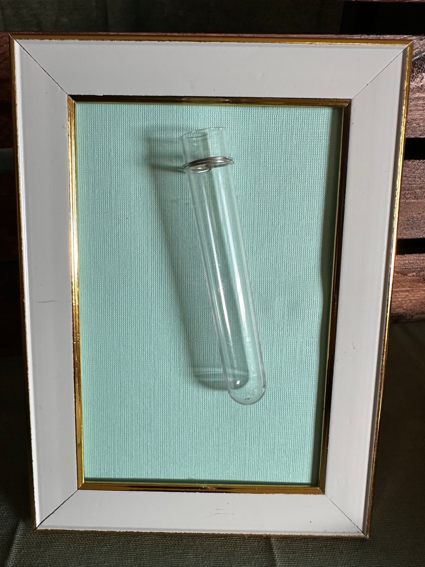 Plant Propagation Photo Frames