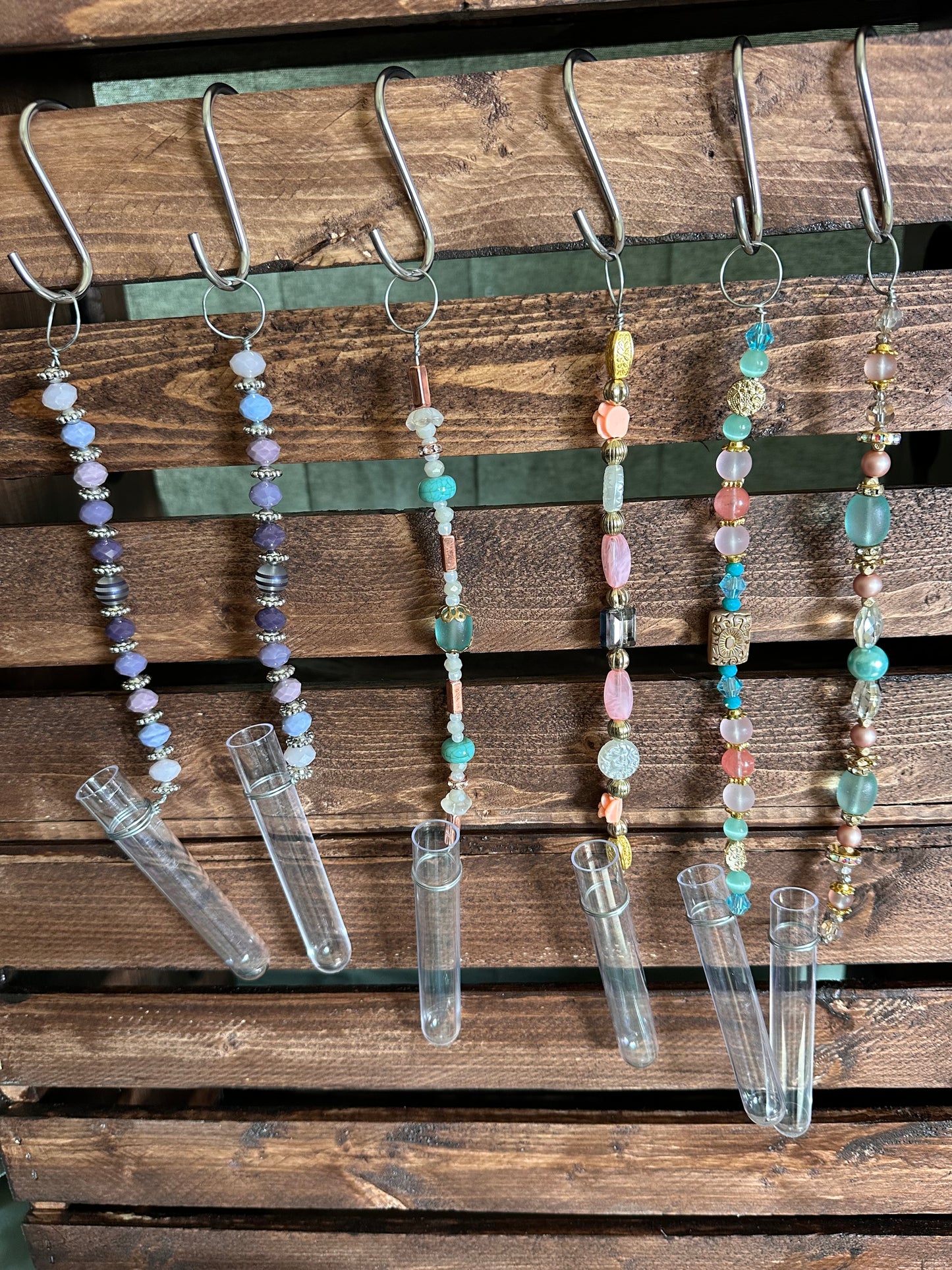 Plant Propagation Sun Catchers