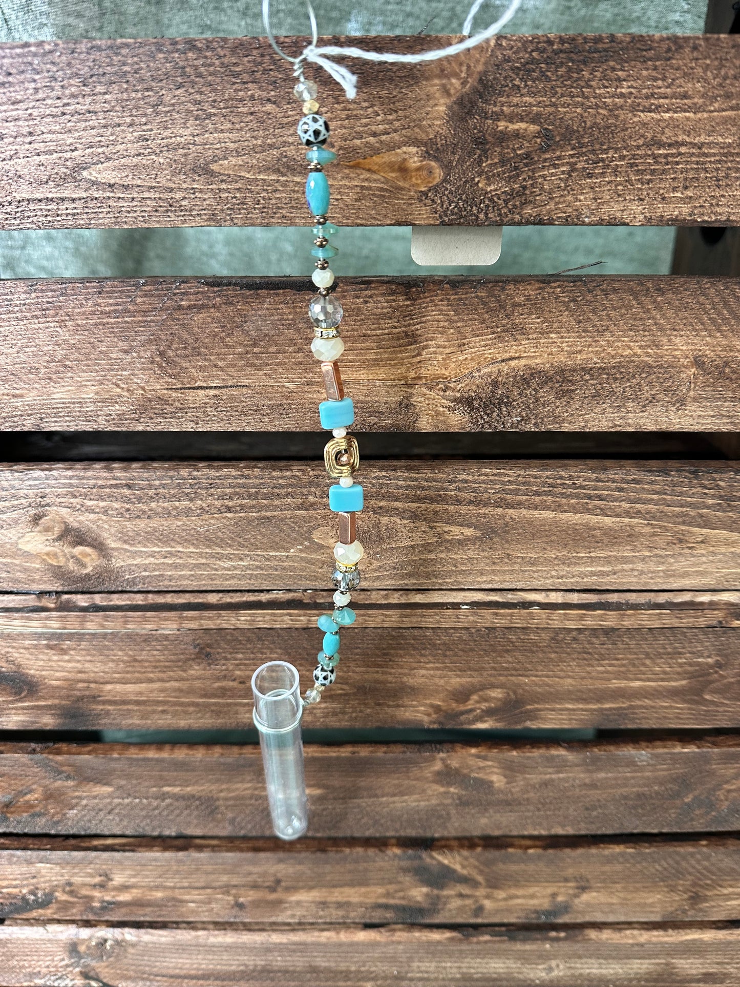 Plant Propagation Sun Catchers