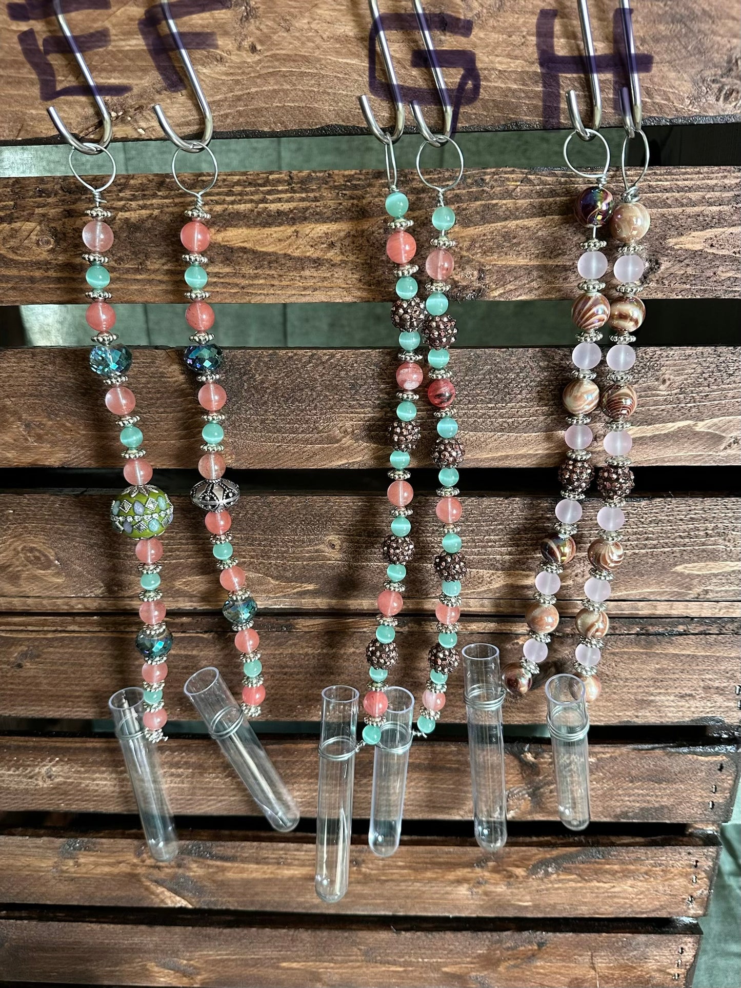Plant Propagation Sun Catchers
