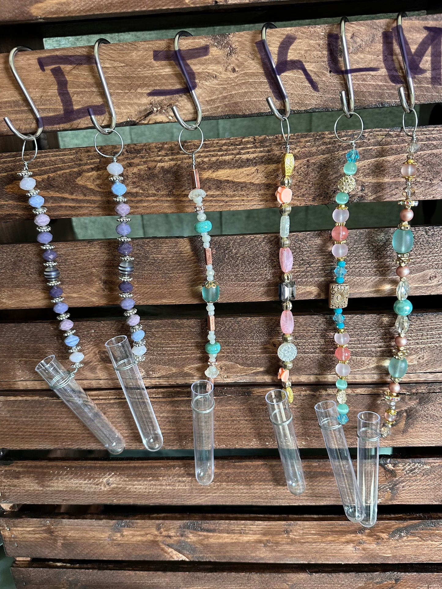 Plant Propagation Sun Catchers