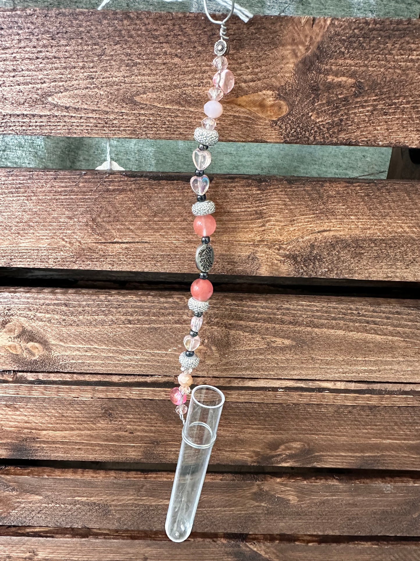 Plant Propagation Sun Catchers