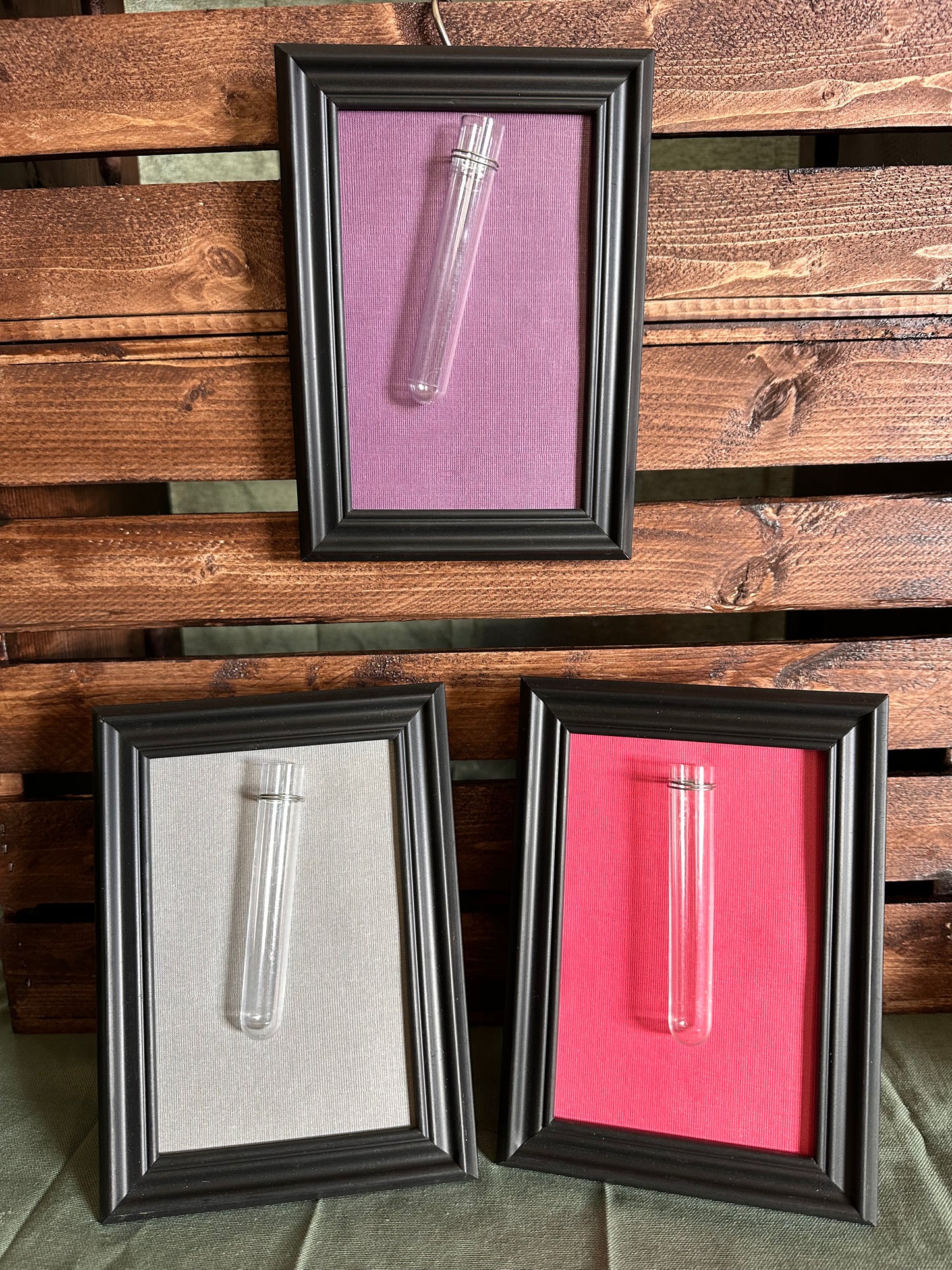 Plant Propagation Photo Frames