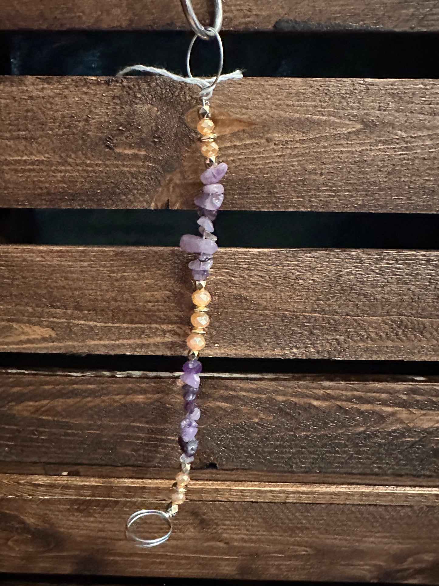 Plant Propagation Sun Catchers