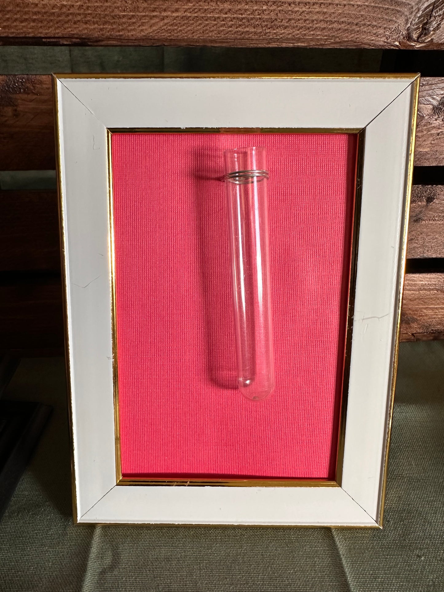 Plant Propagation Photo Frames