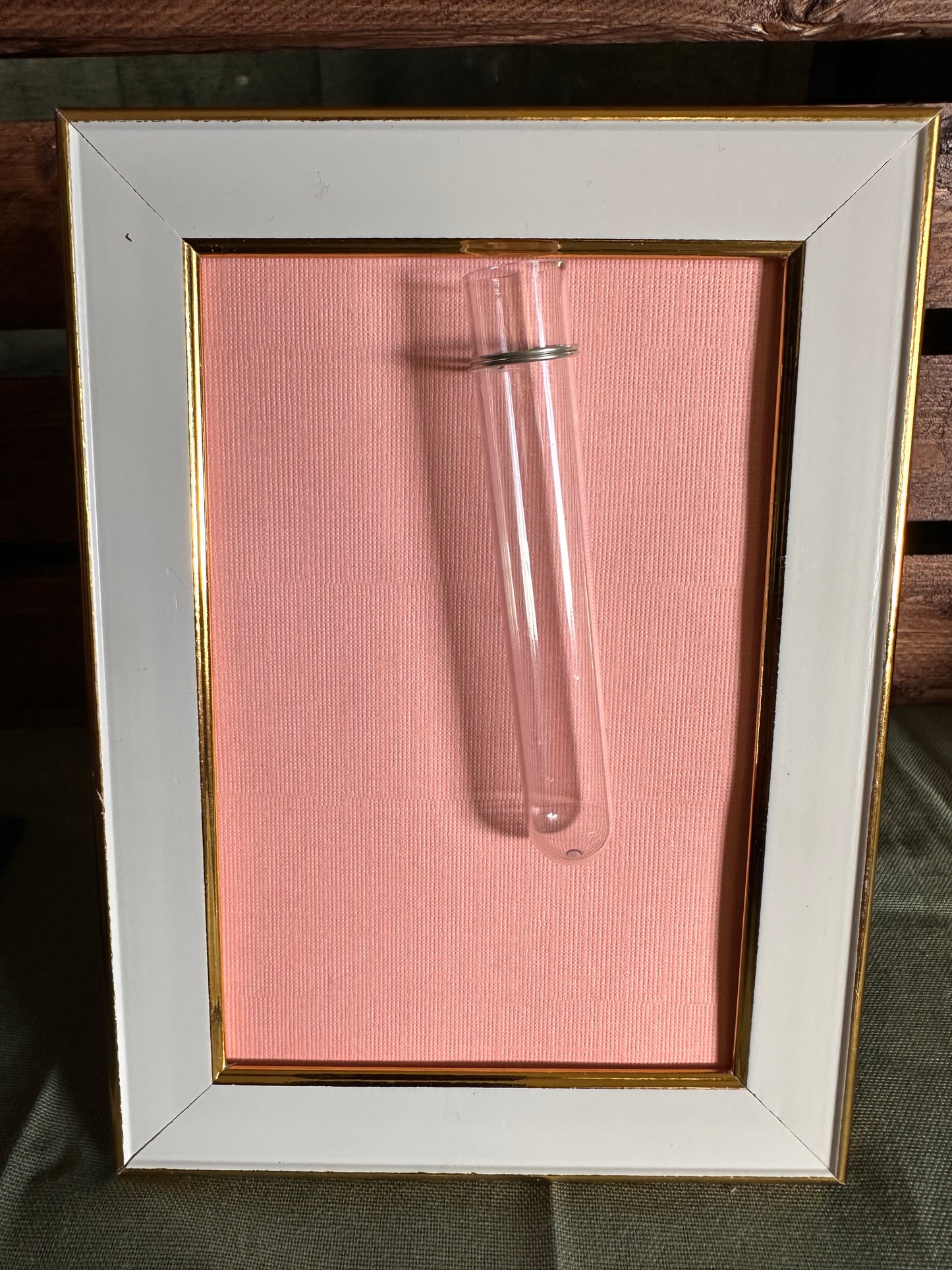 Plant Propagation Photo Frames