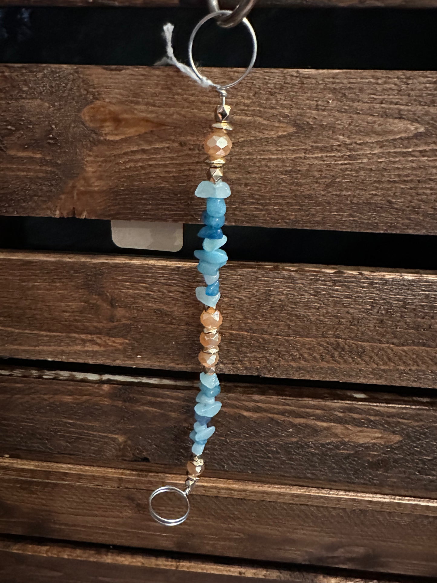 Plant Propagation Sun Catchers